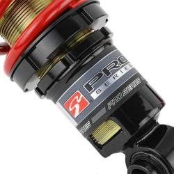 Skunk2 Racing 541-10-1200