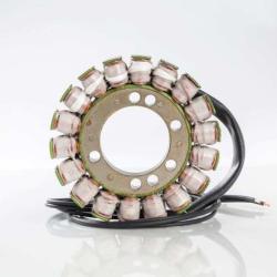 RICKS MOTORSPORT ELECTRICS 21313