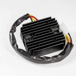 RICKS MOTORSPORT ELECTRICS 10405