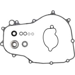 VEP Water Pump Rebuild Kit Vertex Pistons 8210030