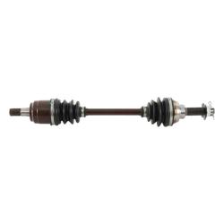 All Balls Racing AB6-SK-8-303