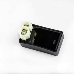 RICKS MOTORSPORT ELECTRICS 15623