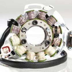 RICKS MOTORSPORT ELECTRICS 21908H