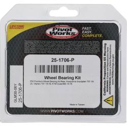 Pivot Works 25-1706-P