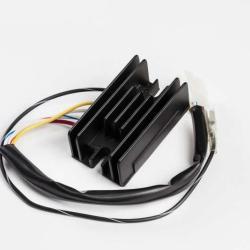 RICKS MOTORSPORT ELECTRICS 10240