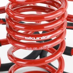 Skunk2 Racing 519-05-1670