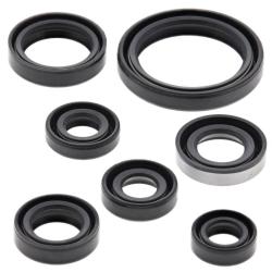 VERTEX PISTONS 822193