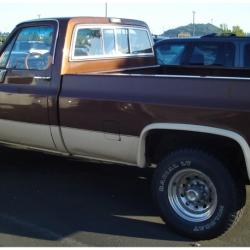 Bushwacker 40900-01