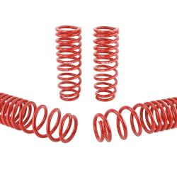 SK Lowering Springs Skunk2 Racing 519-05-1660