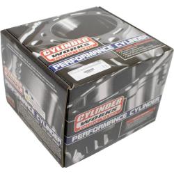 CYLINDER WORKS 410011