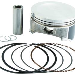 VERTEX PISTONS 24484050