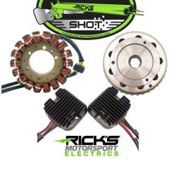 RICKS MOTORSPORT ELECTRICS 99500H