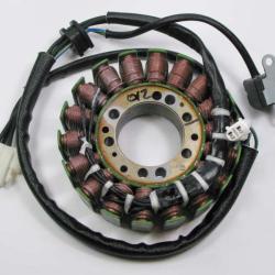 RICKS MOTORSPORT ELECTRICS 21012