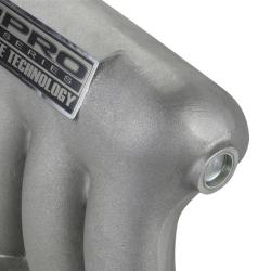 SKUNK2 RACING 307050310