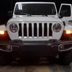 DIODE DYNAMICS DD0421