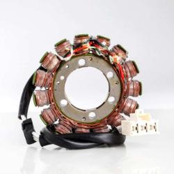 RICKS MOTORSPORT ELECTRICS 21030