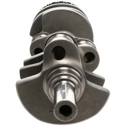 Manley Performance 190724B