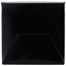 AEM INDUCTION 21202BF