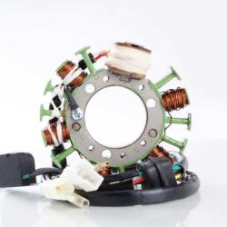 RICKS MOTORSPORT ELECTRICS 21818