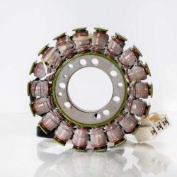 RICKS MOTORSPORT ELECTRICS 21418