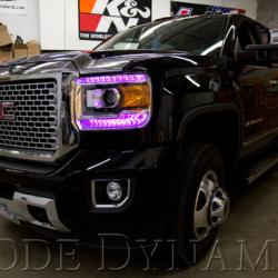 Diode Dynamics DD2010