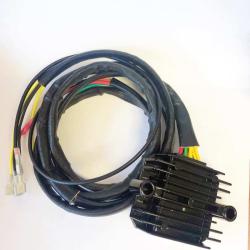 RICKS MOTORSPORT ELECTRICS 140012