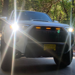 CALI RAISED LED CR3684