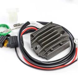 RICKS MOTORSPORT ELECTRICS 10135H