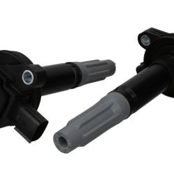 FORD RACING M12029M50C