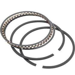 Athena S41316157