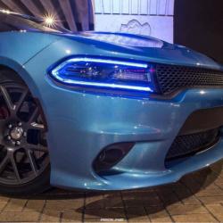 Diode Dynamics DD2003