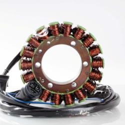 RICKS MOTORSPORT ELECTRICS 21215