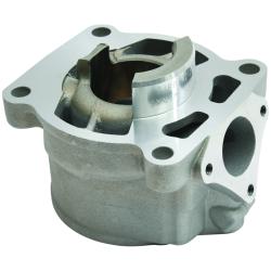 CYLINDER WORKS CW50012