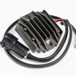 RICKS MOTORSPORT ELECTRICS 10141