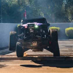 RIGID INDUSTRIES 36204SHREDDY