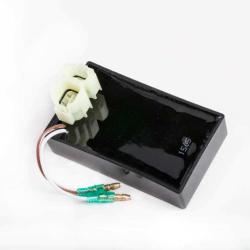 RICKS MOTORSPORT ELECTRICS 15505