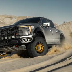 CAMBURG CAM110265ORG