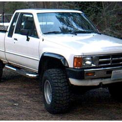 Bushwacker 31902-01