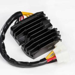 RICKS MOTORSPORT ELECTRICS 10024H