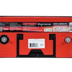 Odyssey Battery ODX-AGM31R