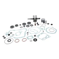 VERTEX PISTONS WR101125