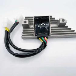 RICKS MOTORSPORT ELECTRICS 10107