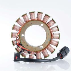 RICKS MOTORSPORT ELECTRICS 21220