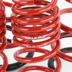 SK Lowering Springs Skunk2 Racing 519-05-1570