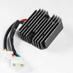 RICKS MOTORSPORT ELECTRICS 10313