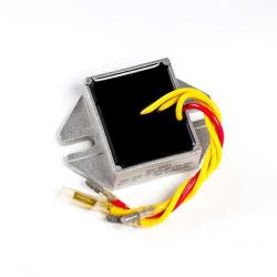 RICKS MOTORSPORT ELECTRICS 10W005