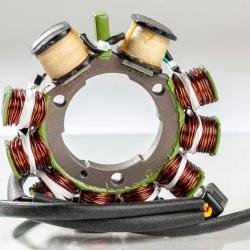 RICKS MOTORSPORT ELECTRICS 24010