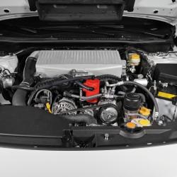 Perrin Performance PSP-ENG-611BK
