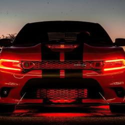 ORACLE LIGHTING 1443504