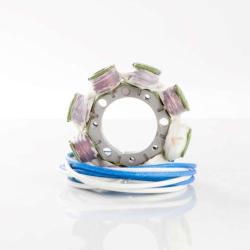 RICKS MOTORSPORT ELECTRICS 21719